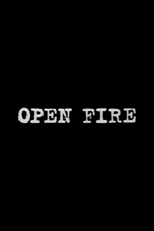 Постер Open Fire